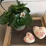 Haus Klinger Appartamento Vandans